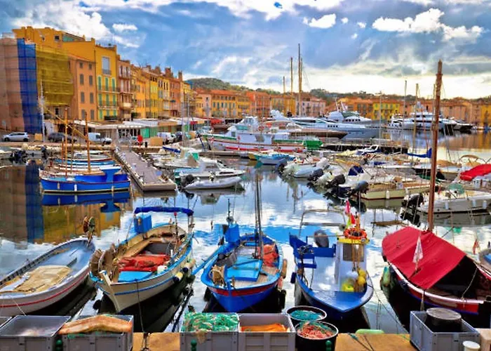 Le Joyau Du Golfe De St Tropez Bed & Breakfast Cogolin